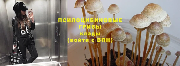 альфа пвп Баксан