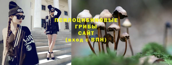 шишки Балахна