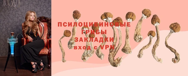 шишки Балахна