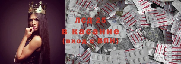 шишки Балахна