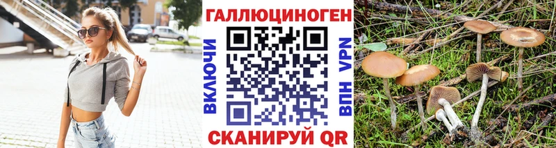 Галлюциногенные грибы MAGIC MUSHROOMS  Котовск 